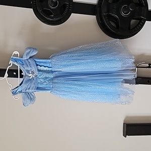 Princess Dress Size 4